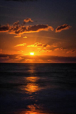 Florida Full Moon by Tom Singleton Florida Full Moon by Tom Singleton