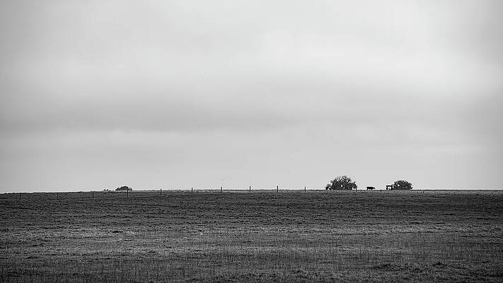 Florida Ranchland 2 by Patrick M Lynch Florida Ranchland 2 by Patrick M Lynch