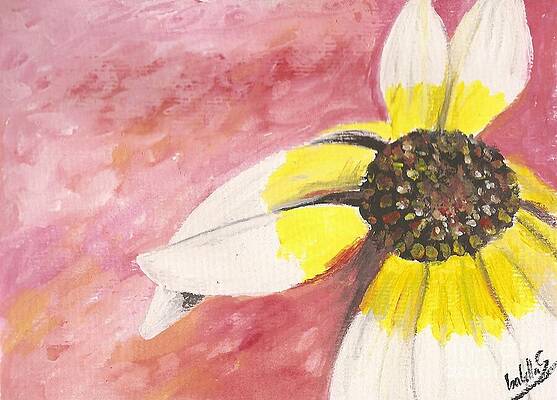 Wall Art - Painting - Flower in Yellow and White by Abbie Shores Aka Frankie Shifter