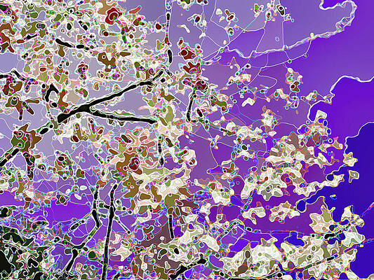 Wall Art - Photograph - Flowering Tree Abstract by Corinne Carroll