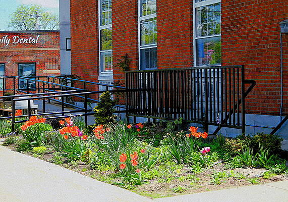 Flowers at Post Office by Cliff Wilson Flowers at Post Office by Cliff Wilson
