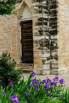 Flowers at St Marys Catholic Church by Thomas R Fletcher Flowers at St Marys Catholic Church by Thomas R Fletcher
