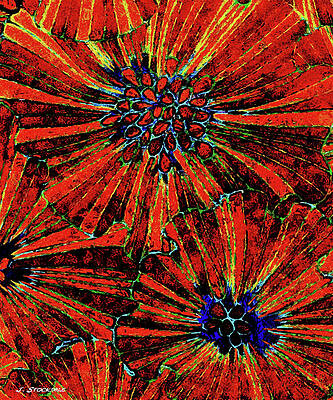 Wall Art - Digital Art - Flowers in Bloom 4 by Stocksom Art Prints