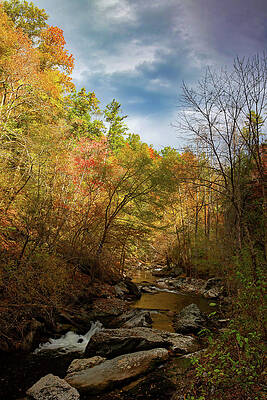Wall Art - Photograph - Flowing From Light by Gina Fitzhugh