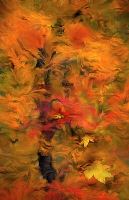 Flowing in the Wind by Kasandra Sproson Flowing in the Wind by Kasandra Sproson