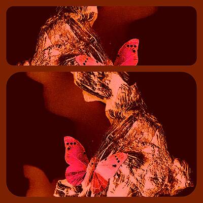 Fluttering By by Loraine Yaffe Fluttering By by Loraine Yaffe