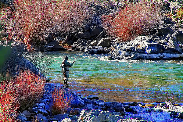 Fly Fishing Rod Photos for Sale - Fine Art America