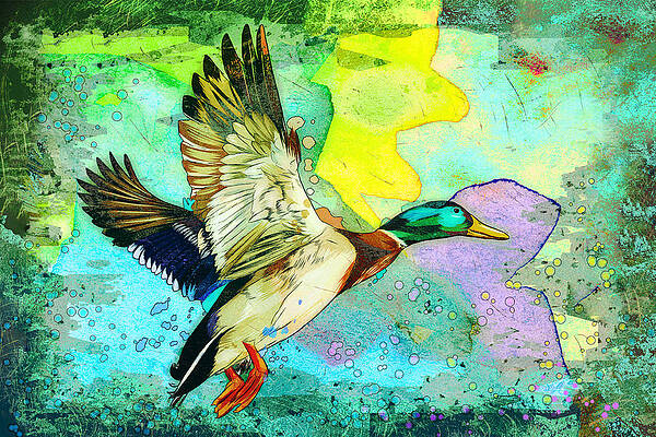 Flying Duck Madness by Miki De Goodaboom Flying Duck Madness by Miki De Goodaboom
