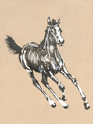 Running Horses Drawings for Sale - Fine Art America