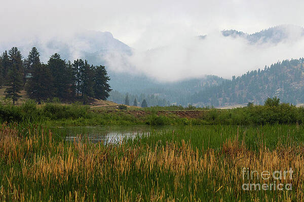 Fog in the Rocky Mountains by Steven Krull Fog in the Rocky Mountains by Steven Krull