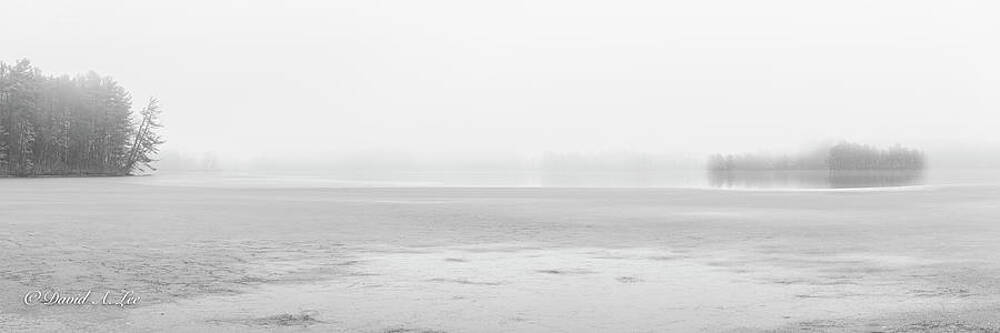 Fog and Ice on the Pond by David Lee Fog and Ice on the Pond by David Lee