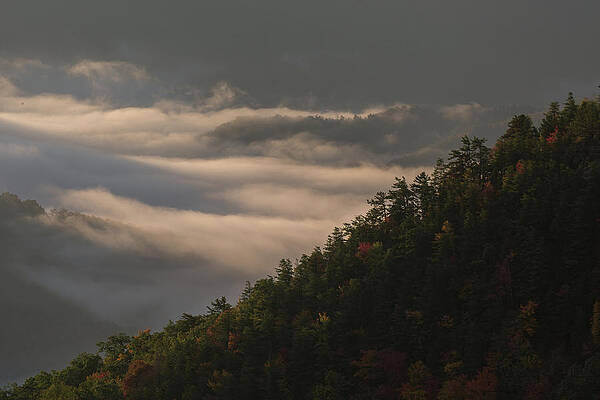 Foggy Bottom by Ronald Santini Foggy Bottom by Ronald Santini