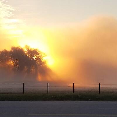 Foggy Morn by April Cook Foggy Morn by April Cook