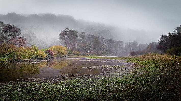 Foggy Morning In The Park by Walt Ebbert Foggy Morning In The Park by Walt Ebbert