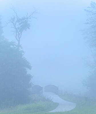 Foggy Path Through The Forest Vertical by Dan Sproul Foggy Path Through The Forest Vertical by Dan Sproul