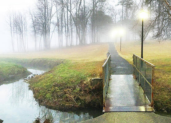 Wall Art - Photograph - Foggy Pathway by Greg Lane