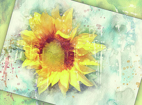 Following the Sun by Jutta Maria Pusl Following the Sun by Jutta Maria Pusl