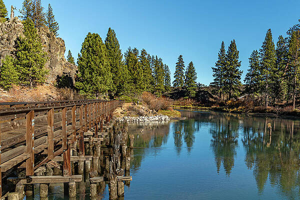 Serene Forest Lake with Wooden Bridge Photograph