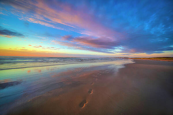 Foot Steps by Penny Polakoff Foot Steps by Penny Polakoff