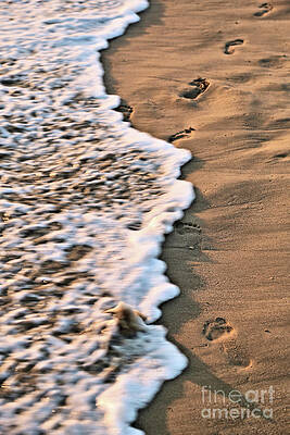 Footprints in the Sand by Vivian Krug Cotton Footprints in the Sand by Vivian Krug Cotton