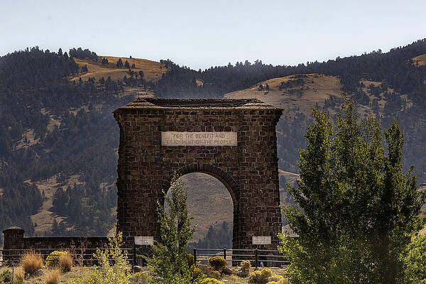 Wall Art - Photograph - For the Benefit--Of All by Tim Lyden