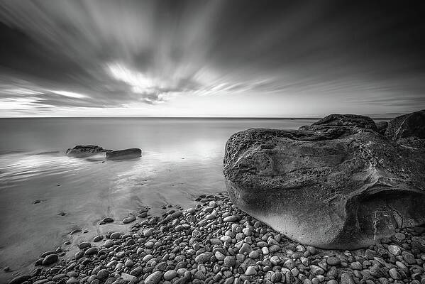 Wall Art - Photograph - Force and Form by Alexander Kunz