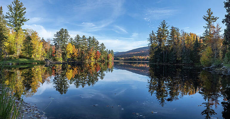 Wall Art - Photograph - Forest Afloat by Todd Wilkinson