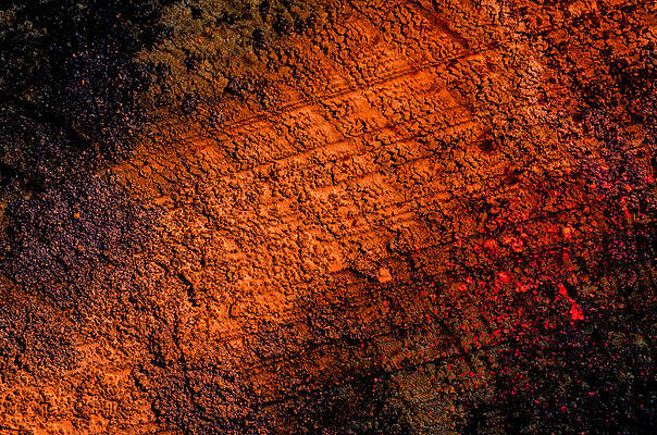 Forest Graffiti Soft Orange Neon Wash by Michael Olson Forest Graffiti Soft Orange Neon Wash by Michael Olson