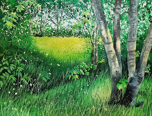 Forest Meadow by Tammy Crawford Forest Meadow by Tammy Crawford