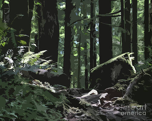 Forest Path by Kirt Tisdale Forest Path by Kirt Tisdale