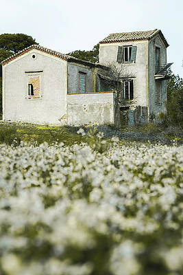 Forgotten - 2 by Viviana Delidaki Forgotten - 2 by Viviana Delidaki
