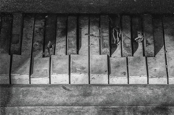 Wall Art - Photograph - Forgotten Keyboard BW by David Letts