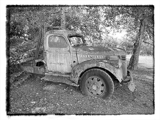 Forgotten by Steph Gabler Forgotten by Steph Gabler