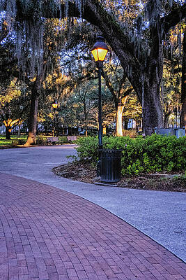 Wall Art - Photograph - Forsyth Path by Tom Singleton