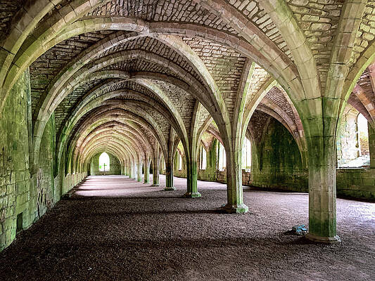 Nobody Photograph - Fountains Abbey Cellarium by Seeables Visual Arts