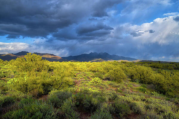 Wall Art - Photograph - Four Peaks Rain by Chance Kafka