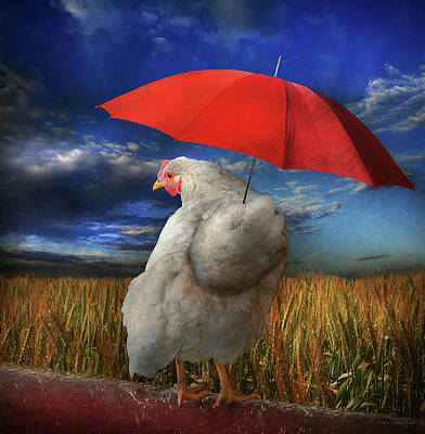 Wall Art - Digital Art - Fowl Weather - Predicting Rain by Mike Savad