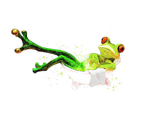 Francesca the Bathing Frog by Pamela Williams Francesca the Bathing Frog by Pamela Williams