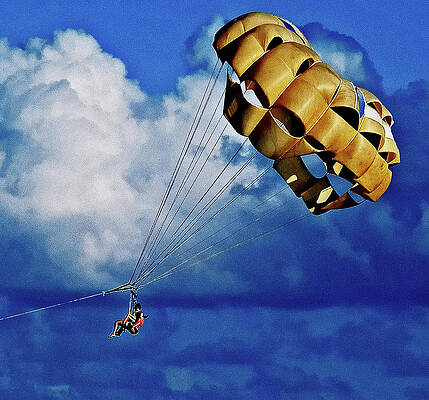 Free Fall by Dean Williams Free Fall by Dean Williams