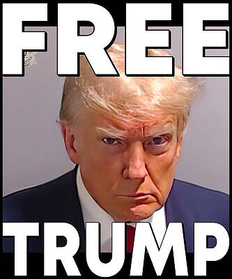 Wall Art - Digital Art - Free Trump Mugshot by Flippin Sweet Gear