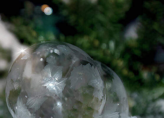 Freezing Bubbles at Night by Laura Terriere Freezing Bubbles at Night by Laura Terriere