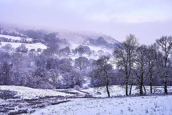 Fresh Morning Snow by Richard Downs Fresh Morning Snow by Richard Downs