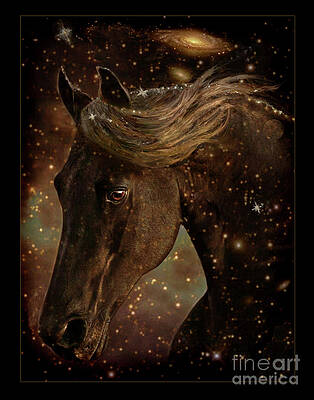 Wall Art - Digital Art - Friesian Star bordered by Melinda Hughes-Berland