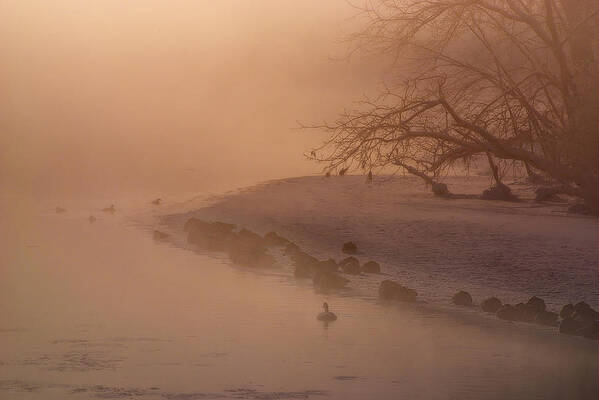 Frigid Warmth - foggy sunrise with geese on Yahara river at -20F morning by Peter Herman Frigid Warmth - foggy sunrise with geese on Yahara river at -20F morning by Peter Herman
