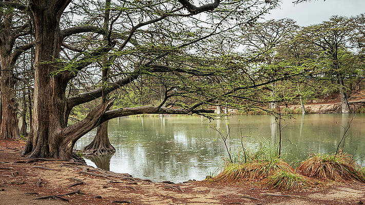 Wall Art - Photograph - Frio River Reflections - Garner State Park, Texas by Brigitte Blanchette Thompson