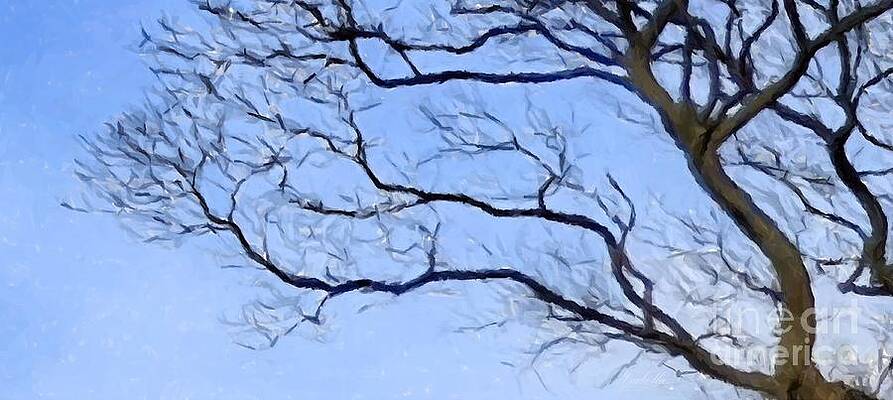From The Outside Lone Tree Snippet Three by Abbie Shores From The Outside Lone Tree Snippet Three by Abbie Shores