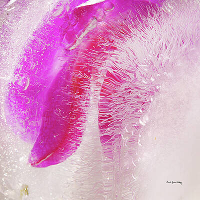 Wall Art - Photograph - Elegance by Randi Grace Nilsberg