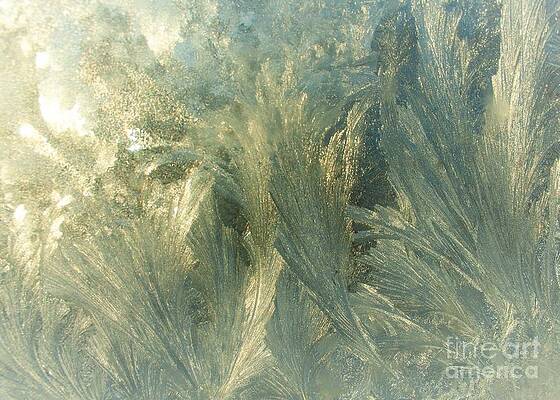 Frosty Window Abstract Macro by Stephen Thomas