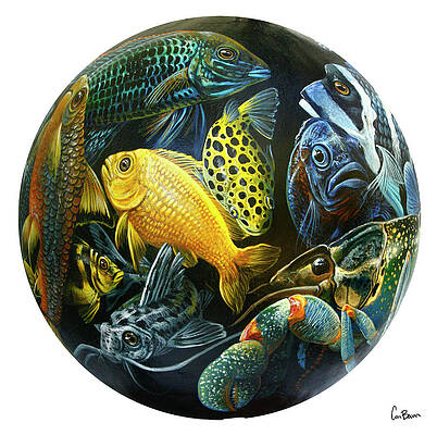 Full Aquarium 2 by Cara Bevan Full Aquarium 2 by Cara Bevan