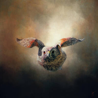 Full Speed Ahead by Jai Johnson Full Speed Ahead by Jai Johnson